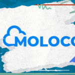 Как выжать максимум из Moloco: стратегия, тесты и масштаб без просадок