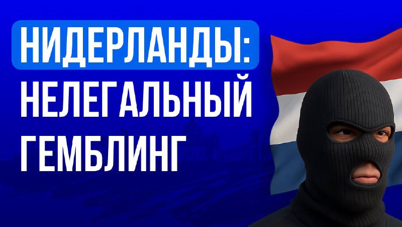 Нидерланды: нелегальный гемблинг обогнал лицензированный рынок