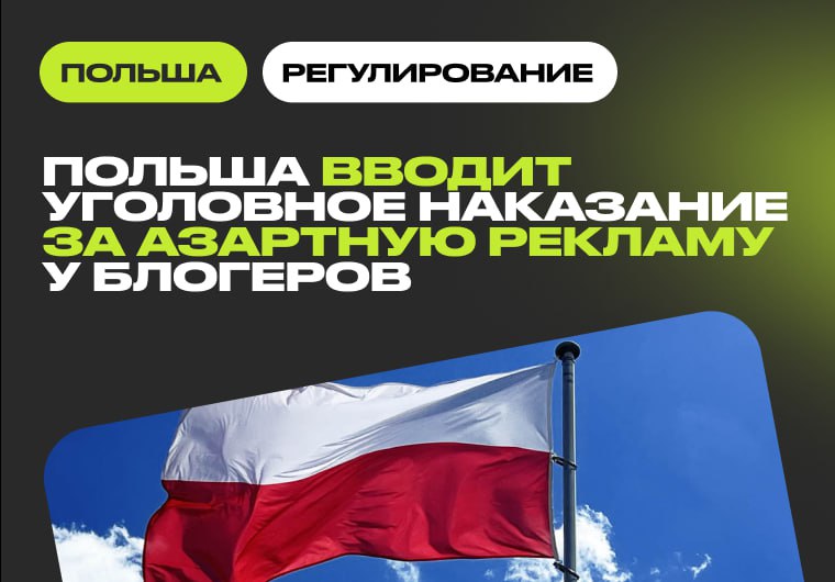 Польша готовит тюремные сроки для инфлюенсеров за рекламу нелегального гемблинга
