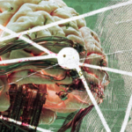 92% ритейл‑маркетологов называют генеративный ИИ главным трендом — и перетряхивают бюджеты