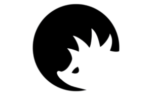 CyberYozh