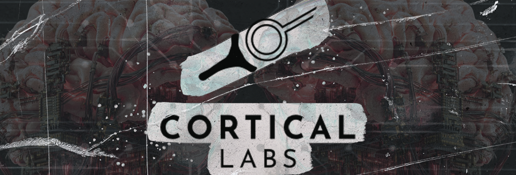 Cortical Labs строит дата-центры на живых клетках мозга — и они потребляют меньше калькулятора