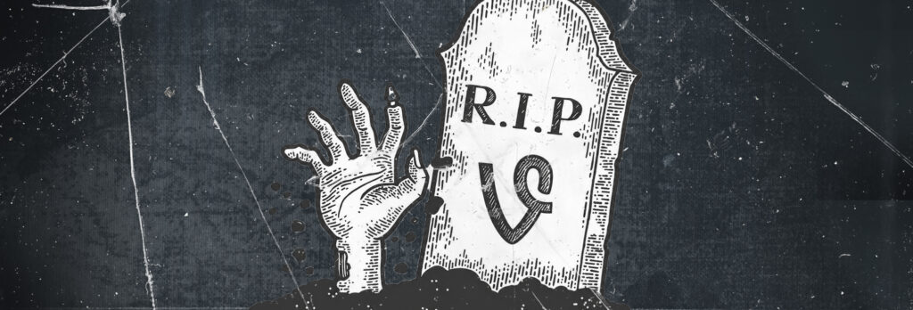 Джек Дорси воскресил Vine: новое приложение Divine запрещает ИИ-контент и строится на открытом коде