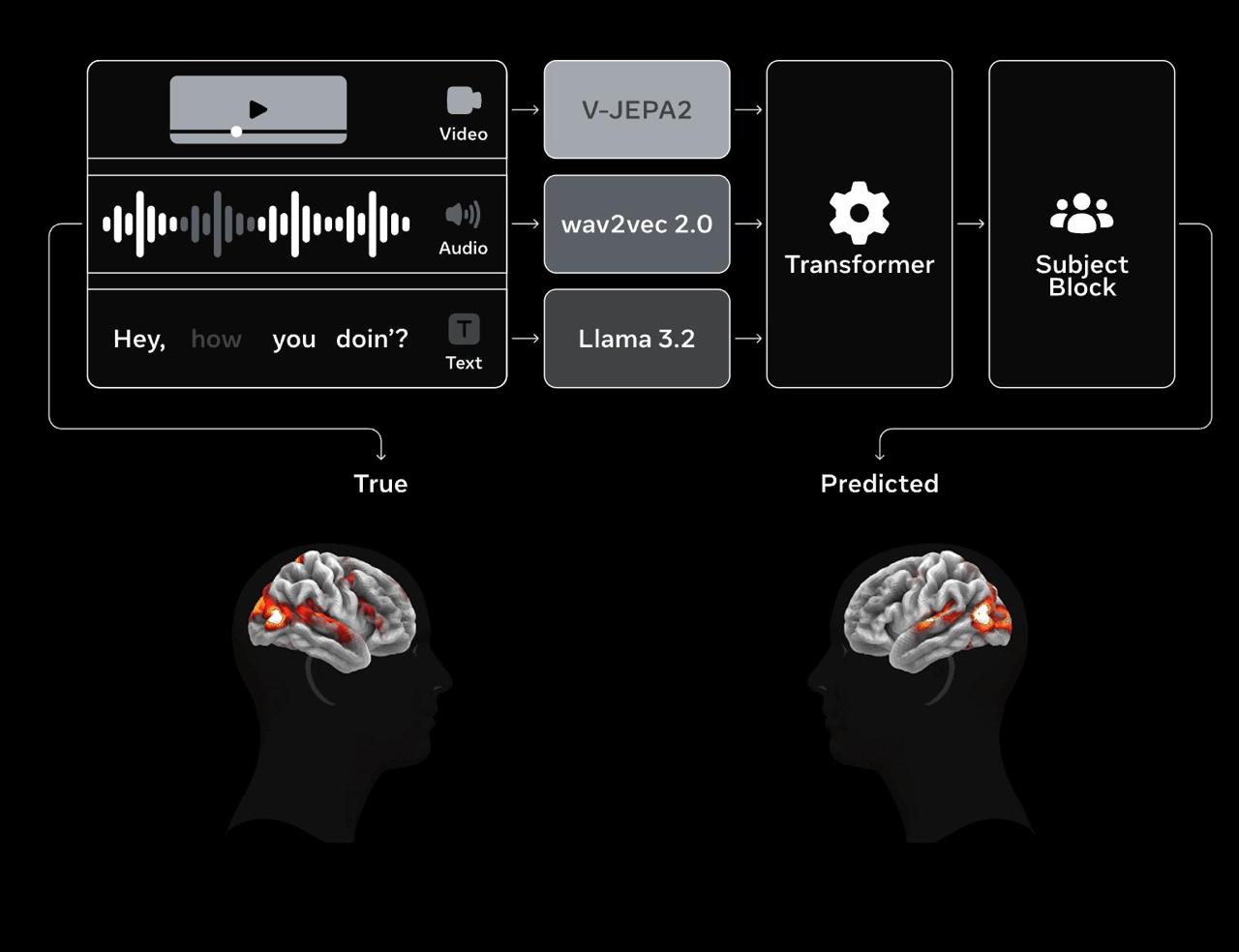 мета выпустила ИИ, который моделирует реакцию мозга на зрительные и звуковые стимулы без участия реального человека